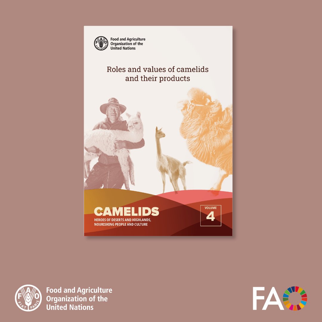 FAOKnowledge tweet picture