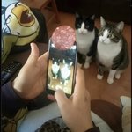 Photo by Assepoes😺 (@Jen8416)