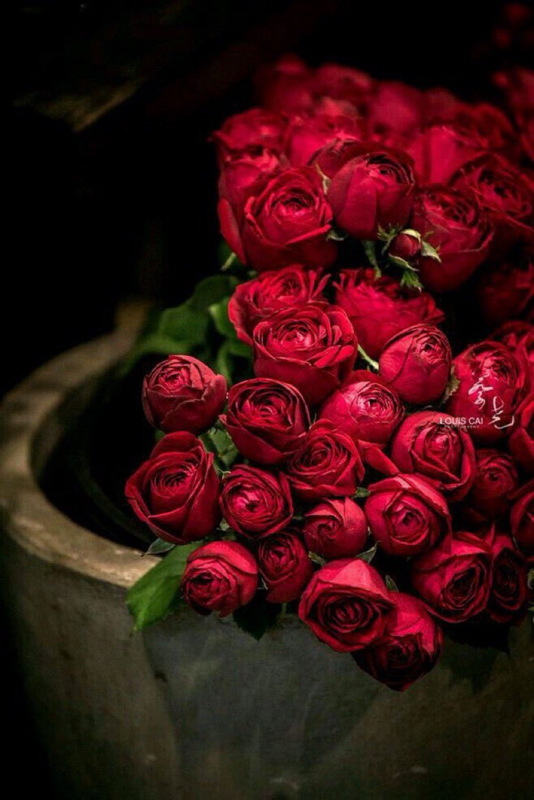 70gwL's tweet photo. @Amoolmomani71 ما أجْملَ الدُنيا إذا كَانت مَعك
يا مَن تركتُ عَوالمي كَي أتبَعك ..
نَبضي وَدَمعي والفُؤاد شَواهدي
فارحم إذا اجتَاحَ الحنينُ مولّعك 📨🫧

✍🏻 بعض النهايات مـُرّة كالقهوة ؛ لكنها تجعلك شخصاً مستيقظاً متنبهاً ..🫧

#فضفضه 🪶 ♾️
#قهوتي🌪☁️
#سيدة_المزاج لهمومك غفوه و لمزاجك صحوه☕️ https://t.co/x3BFnsBlAN