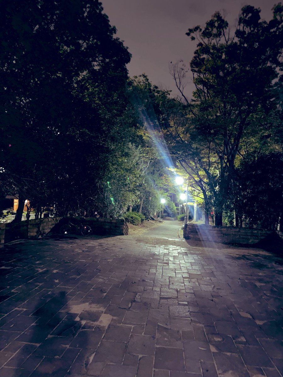 Ryoga_britannia's tweet photo. 改めて、初のびじゅある祭、ありがとうございました。

数億年ぶりに共演したDIAURAのyo-ka、そして盟友の幸樹さん。

彼らとまたこうして共演出来た奇跡に感謝。

皆、またやろうね。

帰り道迷ったんだけど、なんとかなった。 https://t.co/yjKYLPXyFj