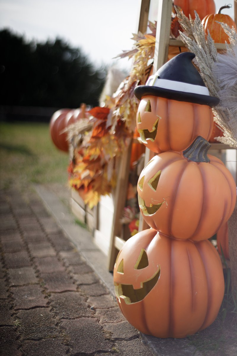 battenkusa's tweet photo. しかしCONTAX Planar 50mm F1.4さんマジで優秀…もう君から離れられないよ…
調整無しでこの画質、加工しまくりの写真があんま好きじゃないから大満足、てか、楽ちんすぎる https://t.co/nXArfx48zv