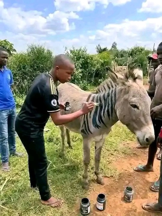 MarkosWanjala's tweet photo. Sasa for example huyu anafanya nini we kijana wewe 😂😂 https://t.co/2koyC317GN