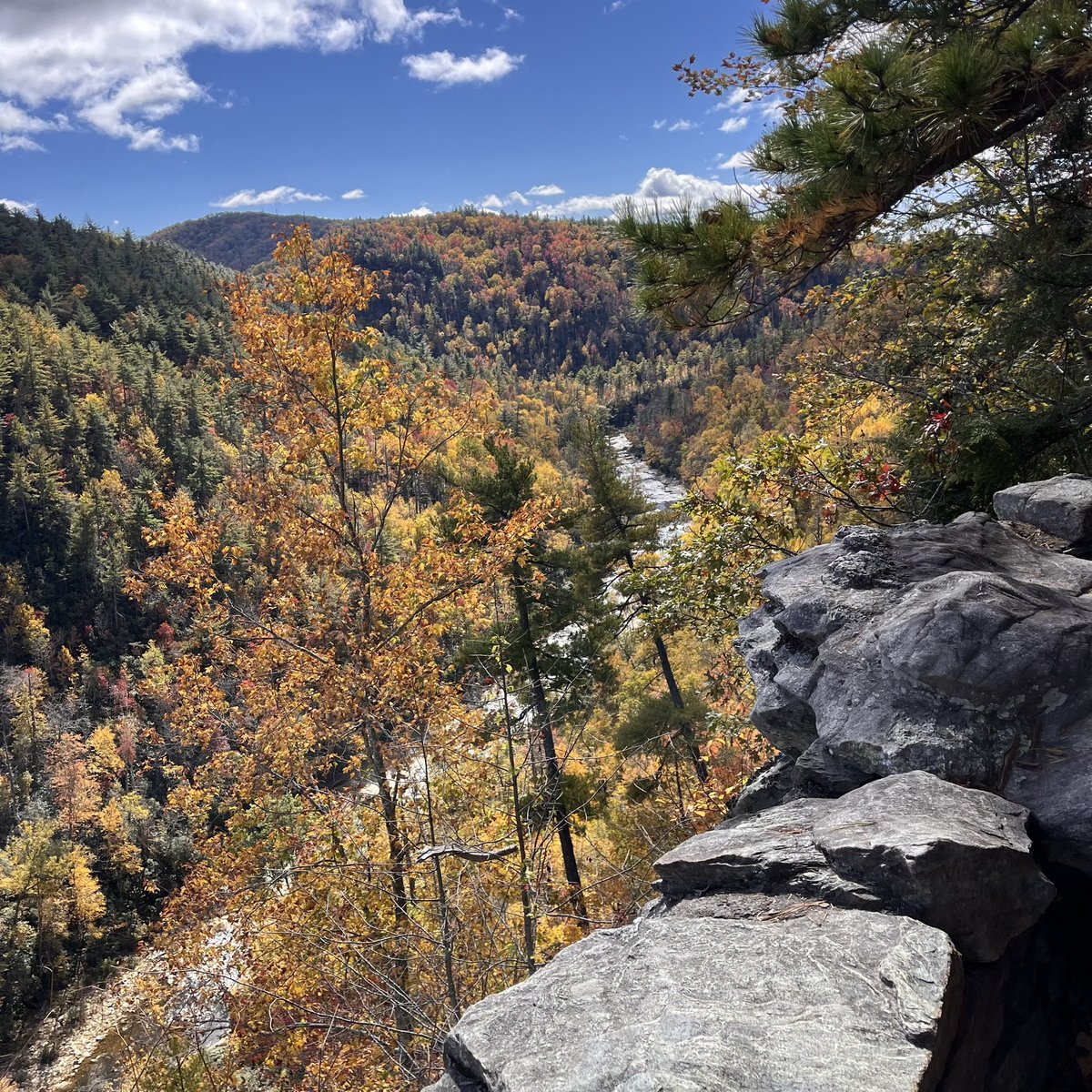 RealWayneBob's tweet photo. @goneers took the fam to linville falls yesterday!  missing my ol’ appstate stomping grounds… https://t.co/YTWL0lEGIn