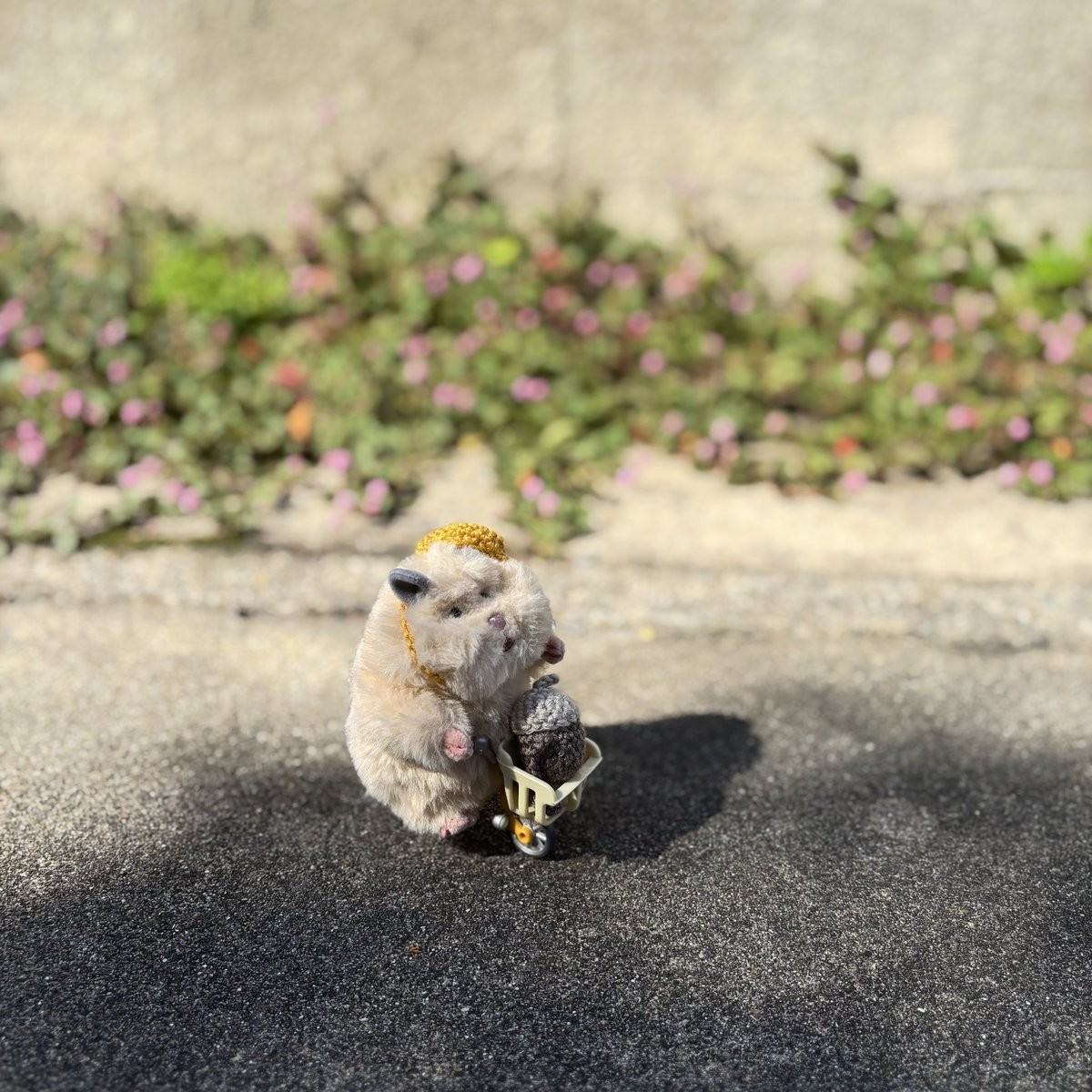 pon_____h's tweet photo. 🚲

 #はむにぎり
 #はむにぎりのいる暮らし https://t.co/Lo5P8wWRP1