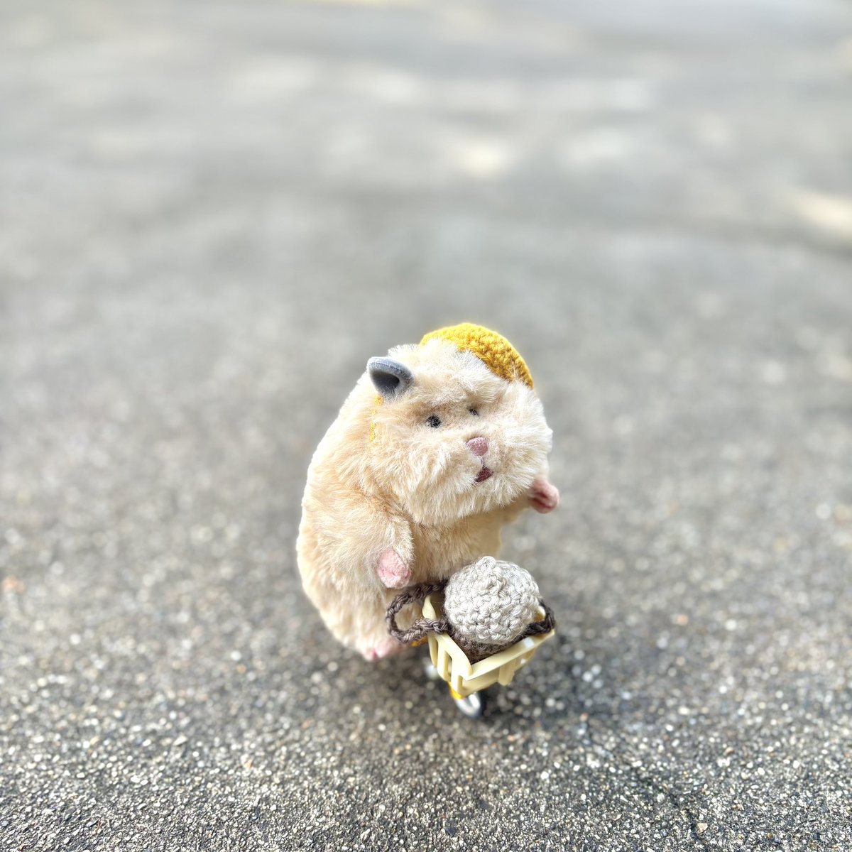 pon_____h's tweet photo. 🚲

 #はむにぎり
 #はむにぎりのいる暮らし https://t.co/Lo5P8wWRP1