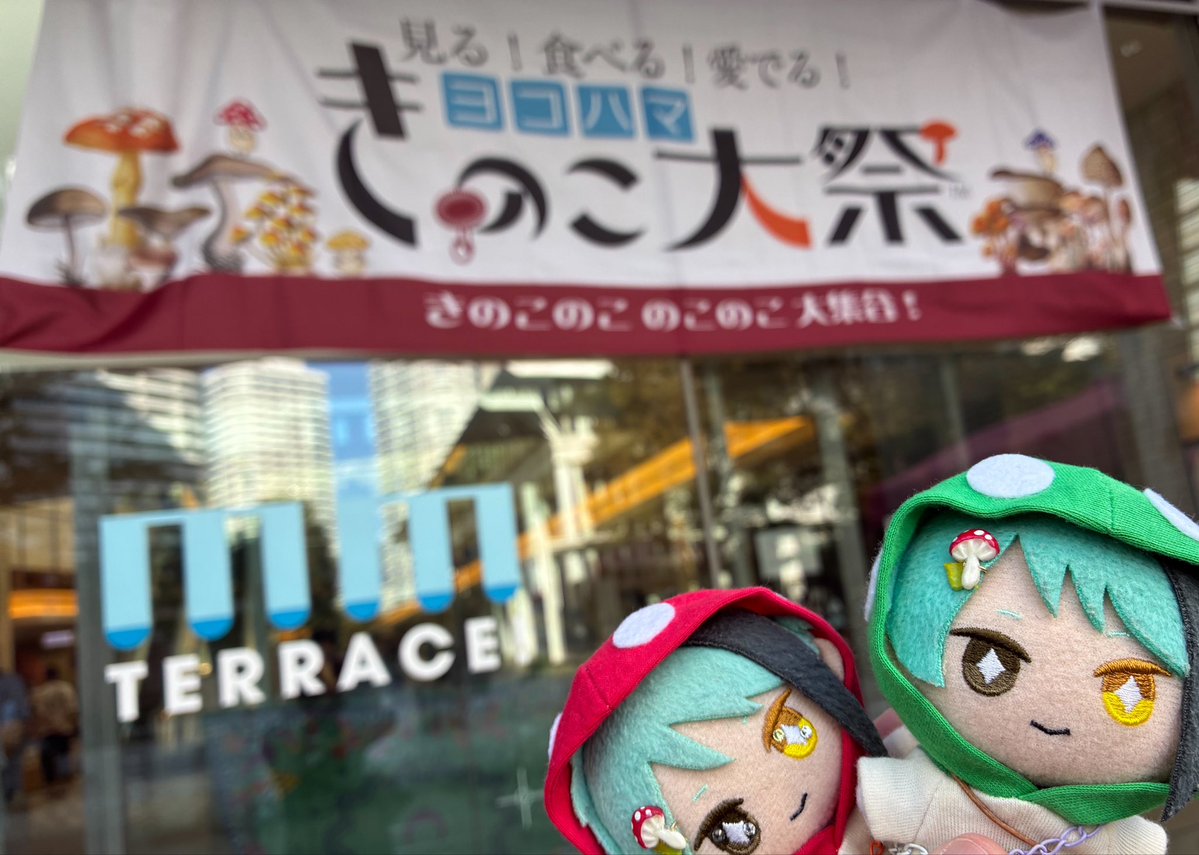 nuichi_11's tweet photo. きのこ浴びてきた🍄‍🟫 https://t.co/ZWs0oVeSEX