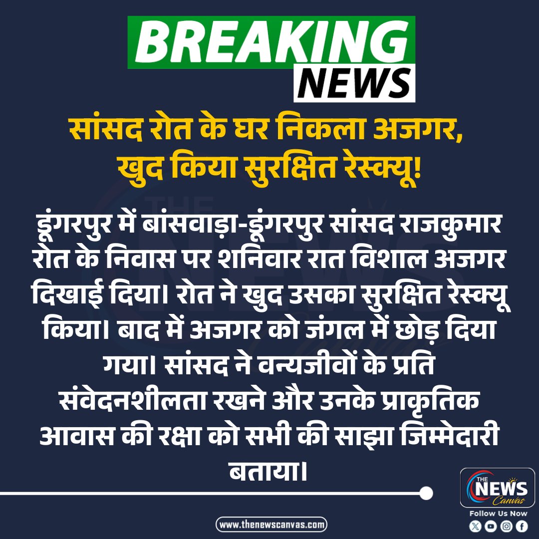 TheNewsCanvas_'s tweet photo. सांसद रोत के घर निकला अजगर, खुद किया सुरक्षित रेस्क्यू!   

#rajkumarroat #dungarpur #pythonrescue #wildlifeconservation #thenewscanvas_

@roat_mla

Follow @TheNewsCanvas_  for latest updates                                                                              

for more information:      https://t.co/sMbtslHv4t
