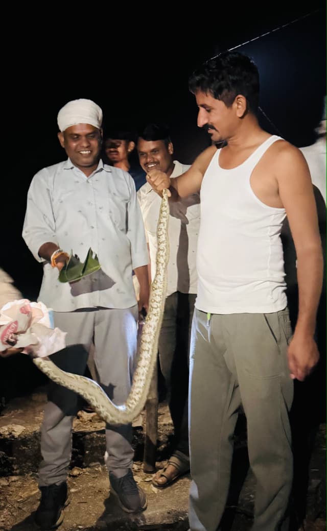 TheNewsCanvas_'s tweet photo. सांसद रोत के घर निकला अजगर, खुद किया सुरक्षित रेस्क्यू!   

#rajkumarroat #dungarpur #pythonrescue #wildlifeconservation #thenewscanvas_

@roat_mla

Follow @TheNewsCanvas_  for latest updates                                                                              

for more information:      https://t.co/sMbtslHv4t