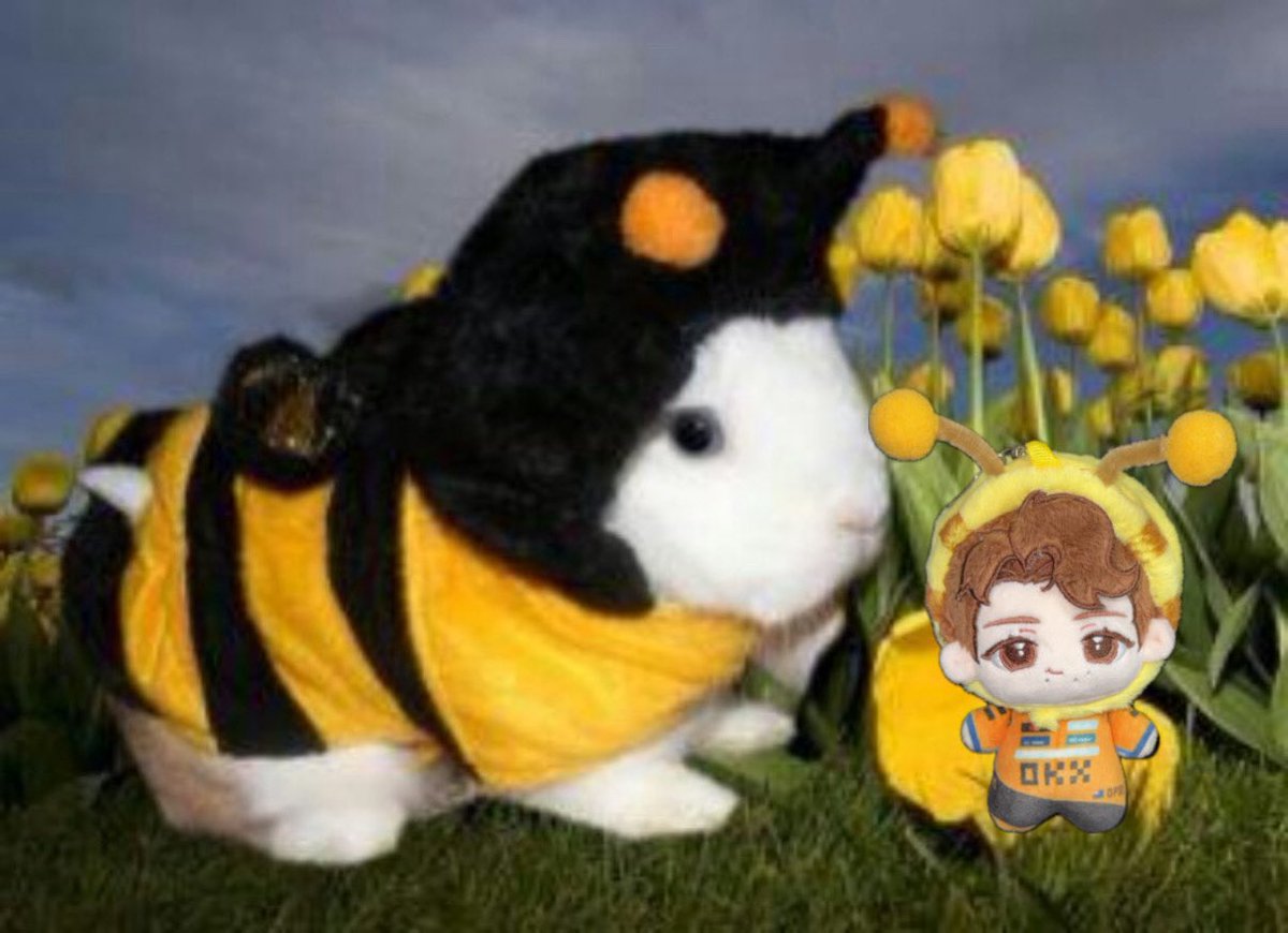 iykyzu's tweet photo. 공계진출겸 꿀벌스트리 보고가세료 🐝 https://t.co/mbeSNhZfXT