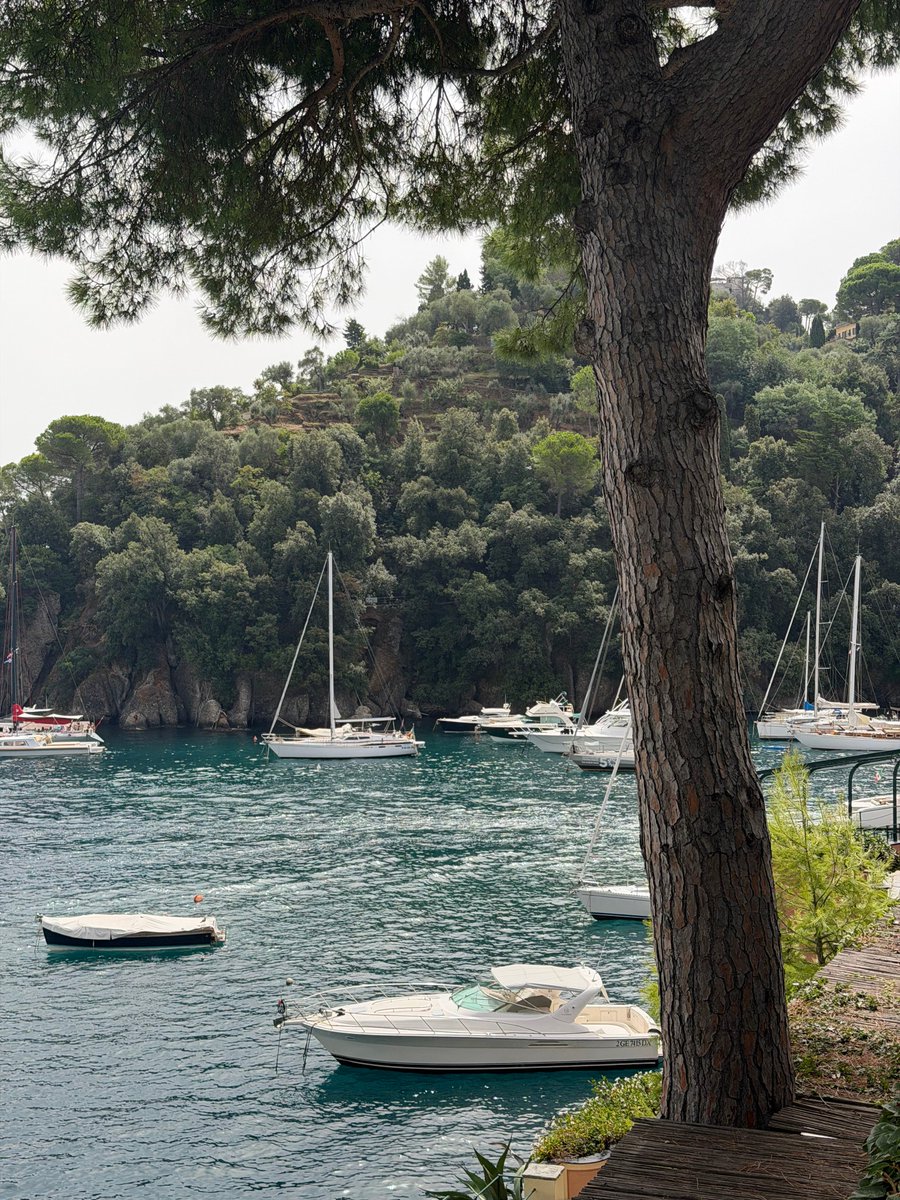 regentcruises's tweet photo. Portofino, best enjoyed slowly. 🌊

Colorful harbor views, winding streets and the unmistakable beauty of the Italian Riviera.

#ExperienceTheUnrivaled https://t.co/WFmkIRD9MS