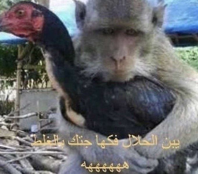 8usp7's tweet photo. لقيت وحده بعمري ! https://t.co/4GRkqaSGJb