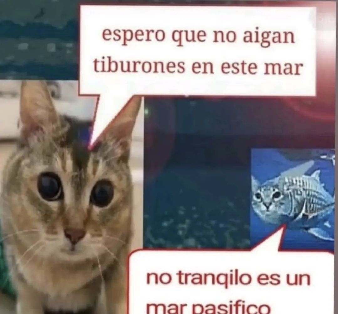 wikipistacho's tweet photo. https://t.co/Z9cEnJO5pS