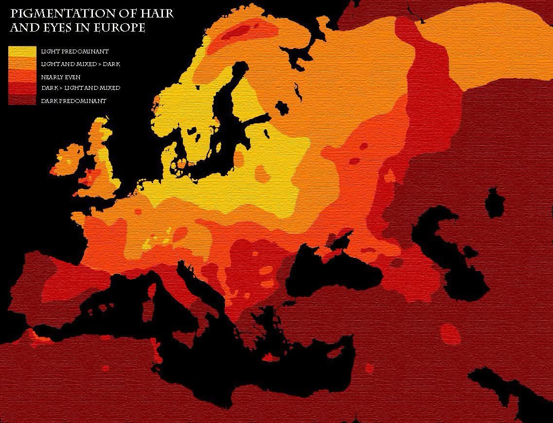 whit48128's tweet photo. "Brown west asians" such as North Caucasians are lighter in pigmentation than majority Iberians, Italians and south Balkaners who are classified as white or European as per PCA

so over for southern europoors https://t.co/EEiLPUHU4L