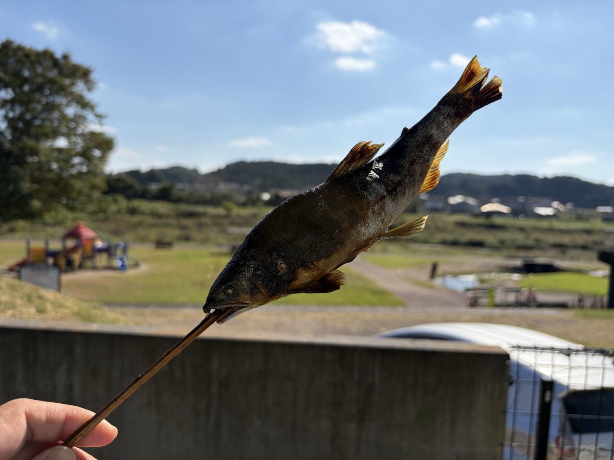 nattu0626's tweet photo. 本日の撮れ高
喜連川道の駅いって鮎を食べてなかがわ水族館で極卵割ったらベホマラーすらないハズレせきぞうでした
いっぴき極ください
それと湖畔で五目釣りできるということで行ったのですが時間が足りませんでした
リアル釣りできず残念

#ドラクエウォーク
#なかもん https://t.co/EY4nYjVKqR