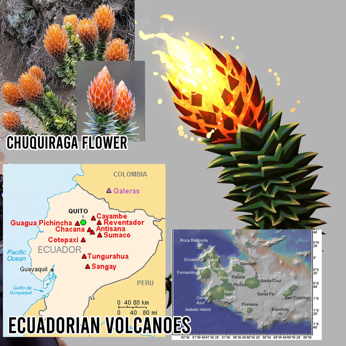 kyo_yukanna_'s tweet photo. visual inspirations for the Ecuadorian weapon girl! https://t.co/ThREhNha5I