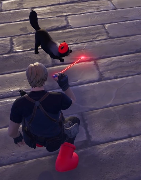 yeniva_'s tweet photo. I named my cat ada wong 🥹 https://t.co/9RxuArtIW0