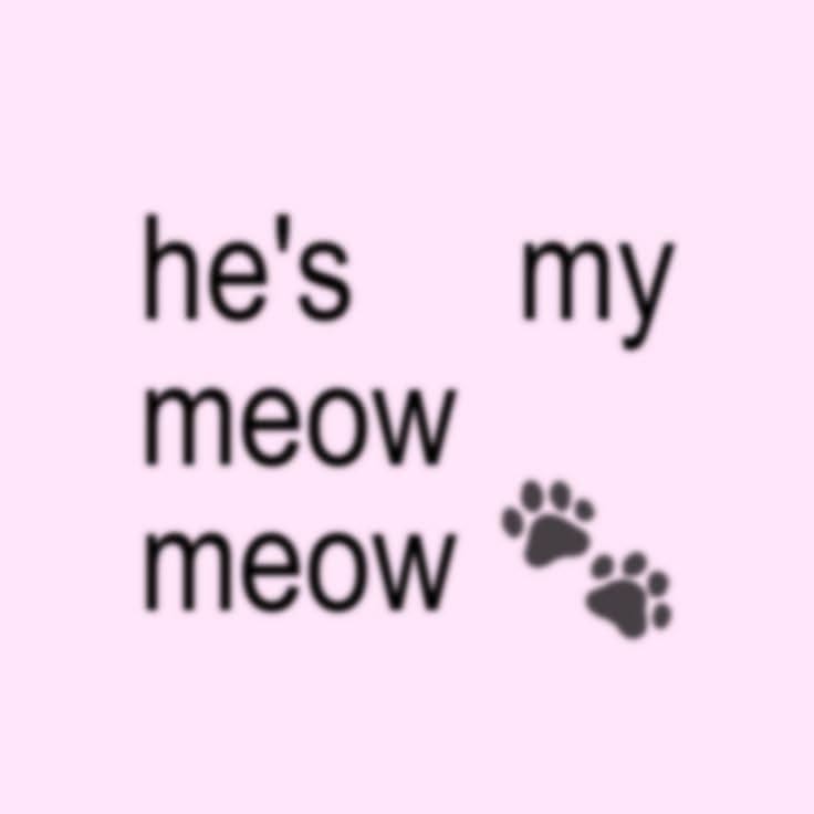 mmmniuk's tweet photo. pinky meow meow >< https://t.co/mDWVqBNqx1