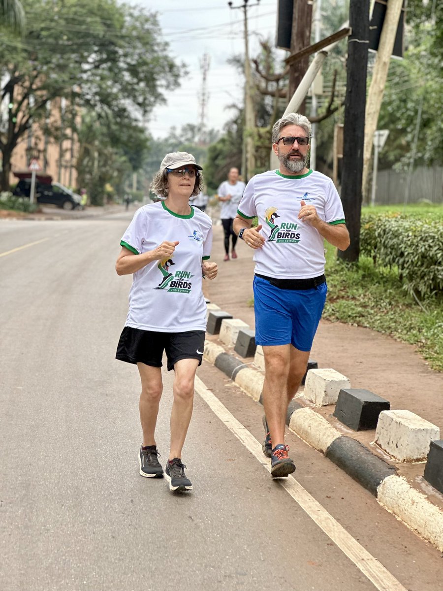 acus_uganda's tweet photo. A heartfelt thank you to everyone who turned up this morning for Run for Birds 2026 at Sheraton Gardens.

Your participation demonstrates a shared commitment to protecting Uganda’s iconic Grey Crowned Crane and advancing bird conservation.

Together, every step brings us closer to a future where our birds thrive.

Thank you for making every step count!

#RunforBirds26 #AvianconservationUganda