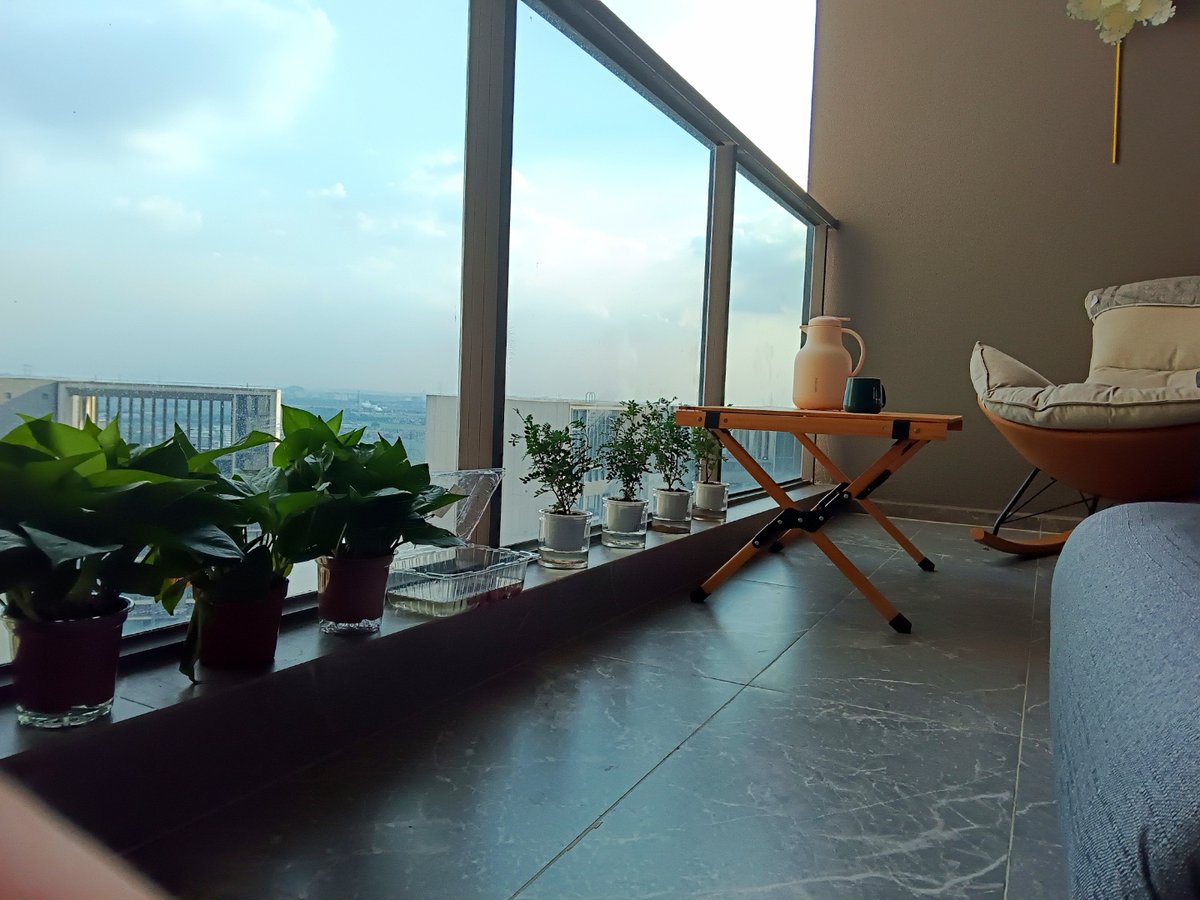 PipinGonzalez17's tweet photo. [Today, I got to touch the smooth and lush plant at the terrace, and the warm breeze made me feel really delightful!]， https://t.co/0hqz4C4NYr