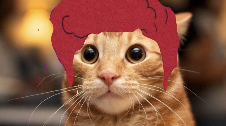 notme_00llit's tweet photo. i call it mr and mrs Hi chili https://t.co/39En7uNbqv