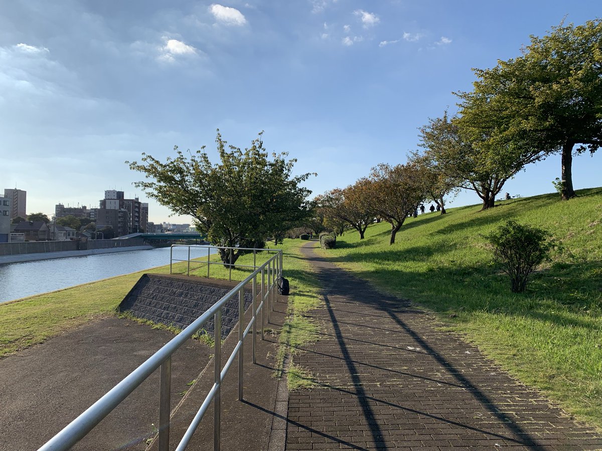 TakemieY's tweet photo. 晴れてる日の荒川は気分がいいな

荒川の土手と新河岸川 https://t.co/qitltF7ooa