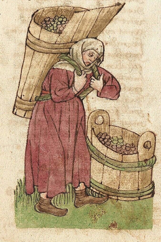 summerteething's tweet photo. off to the farmers market to buy my loaf of bread and pound of apples for the week https://t.co/pQpwYllQ2o
