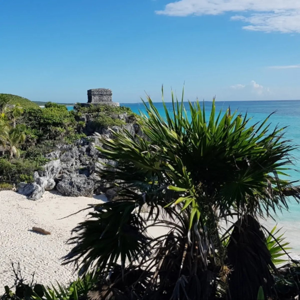 Teaa9100's tweet photo. Yucatán or Oaxaca? Caribbean beaches, cenotes, and Mayan ruins vs. incredible food, mezcal, indigenous culture, and a laid-back Pacific coast. We loved both, but one stole our hearts. Which would you choose? https://t.co/QX6y6PtQc7