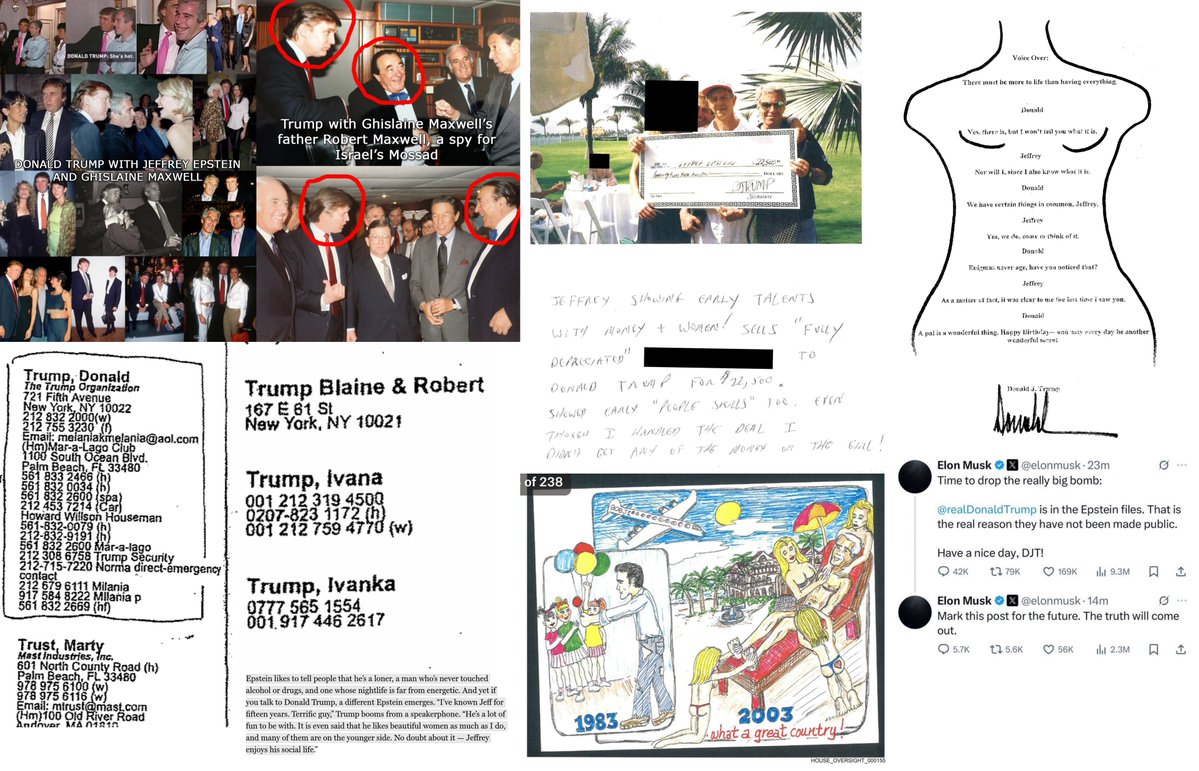 prissilytyson's tweet photo. @theliamnissan Damn... D*n*ld Tr*mp loves himself a fellow pdf file and SA perpetrator, huh? https://t.co/oB5fM8O168