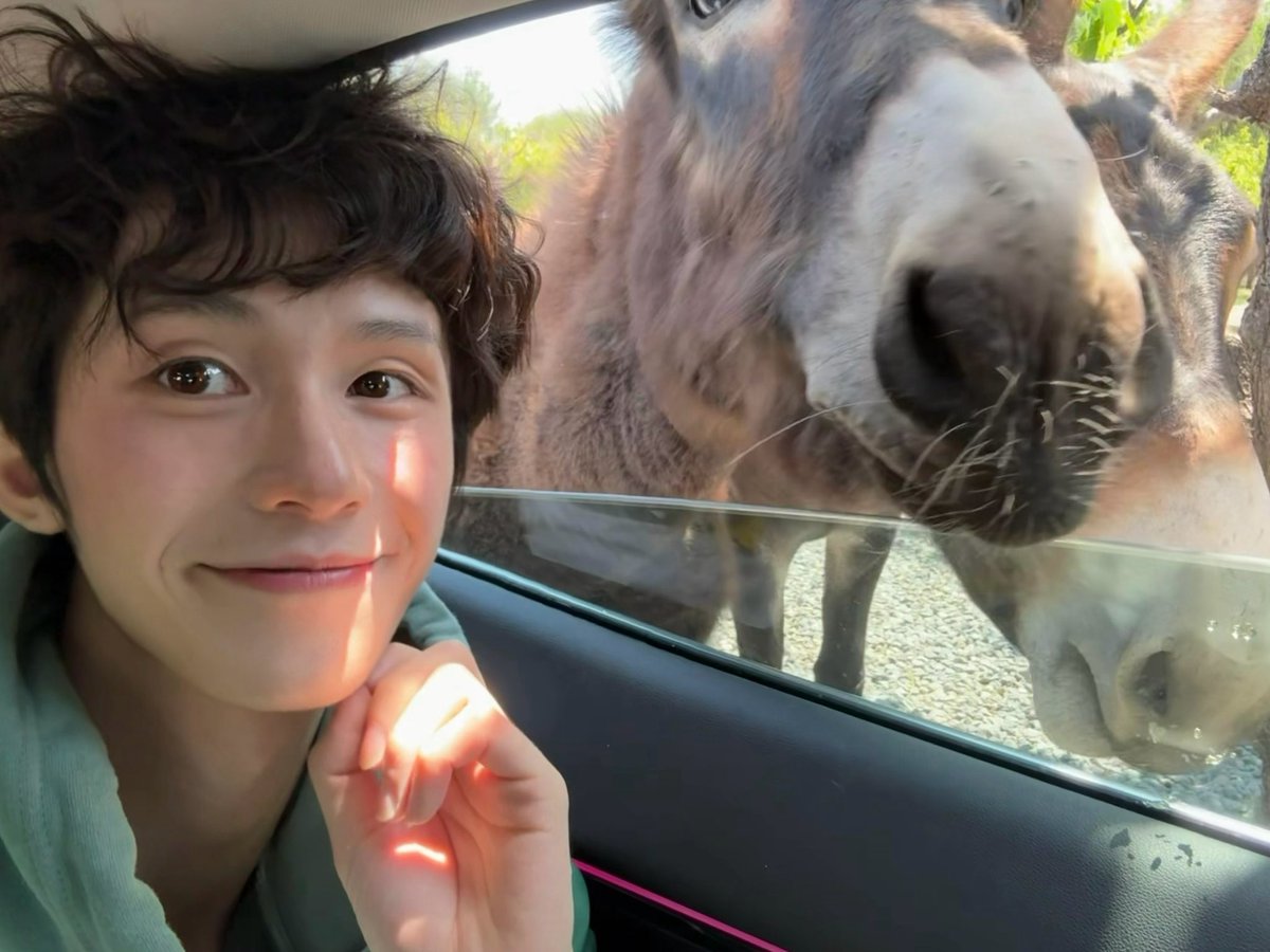 stuu012's tweet photo. 이런늑김너무좋구 https://t.co/YXc5lbB4tF