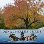 Photo by Denali Stud (@DenaliStud)
