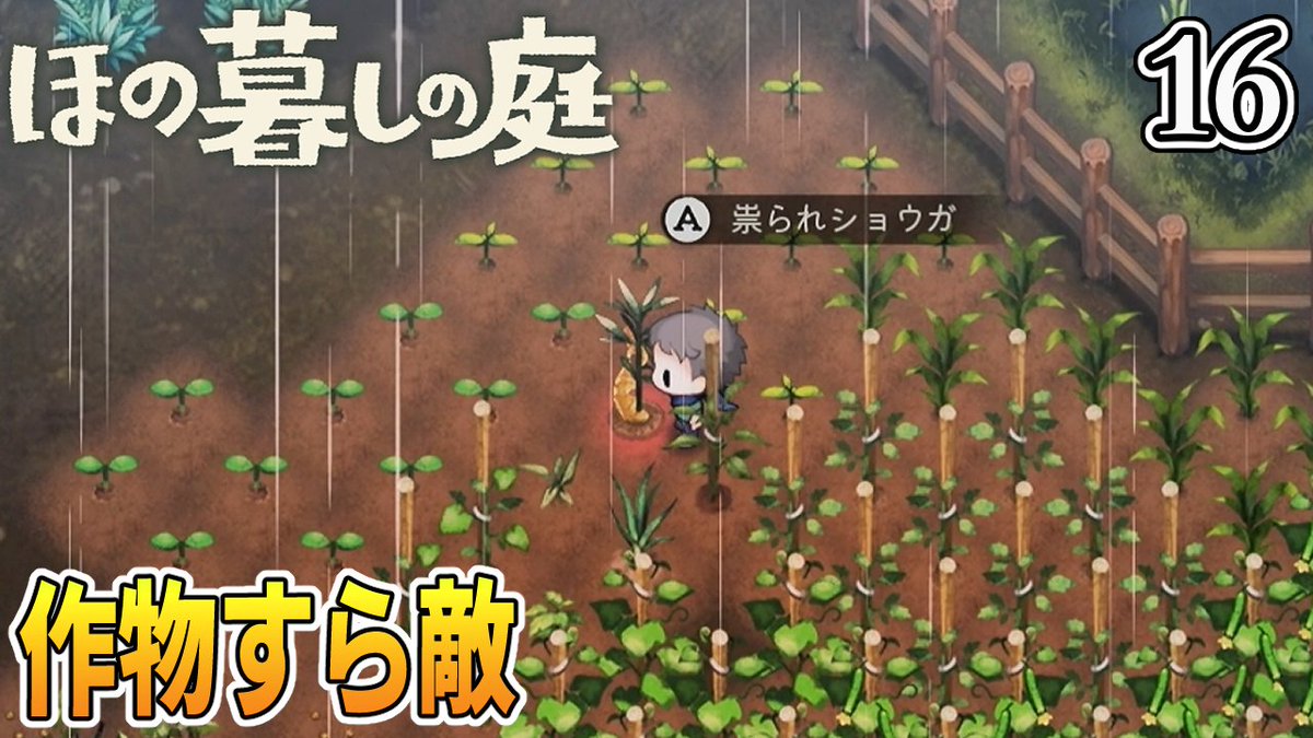 kurokuma09's tweet photo. 「ほの暮らしの庭」 動画上げましたー！  
社畜を辞めて迷い込んだのは怪しい掟がある村だった…。     
作物すら牙をむく～彼々津村はいいとこよ～
https://t.co/mPGhNi3XCW

#ほの暮らしの庭 #日本一ソフトウェア #ゲーム実況 #くろくまのゲームLABO #ほの暮しの庭 https://t.co/vliqfmjYxI