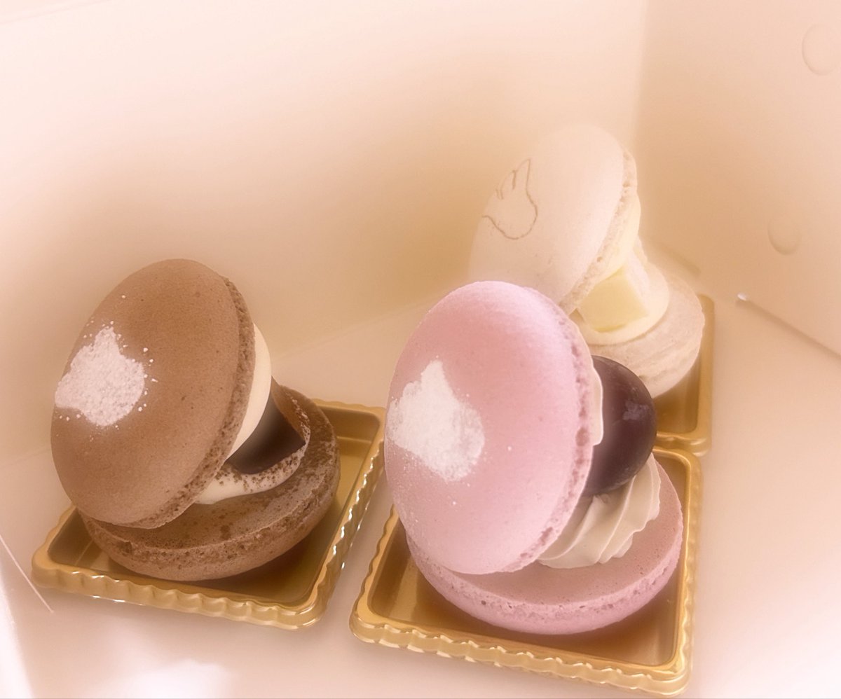 yua_ax's tweet photo. すごくかわいいマカロンしあわせ₍ᐢ.ˬ.ᐢ₎ෆ https://t.co/c6OU6myWDW