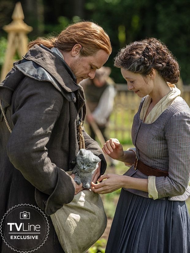 point_blank1959's tweet photo. Adso, the Fraser's Ridge kitty. I do hope he's alright, missed him in Season 8.  #outlander_starz #tvline #SamHeughan #CaitrionaBalfe #adso #Outlander https://t.co/MXdSijG29P