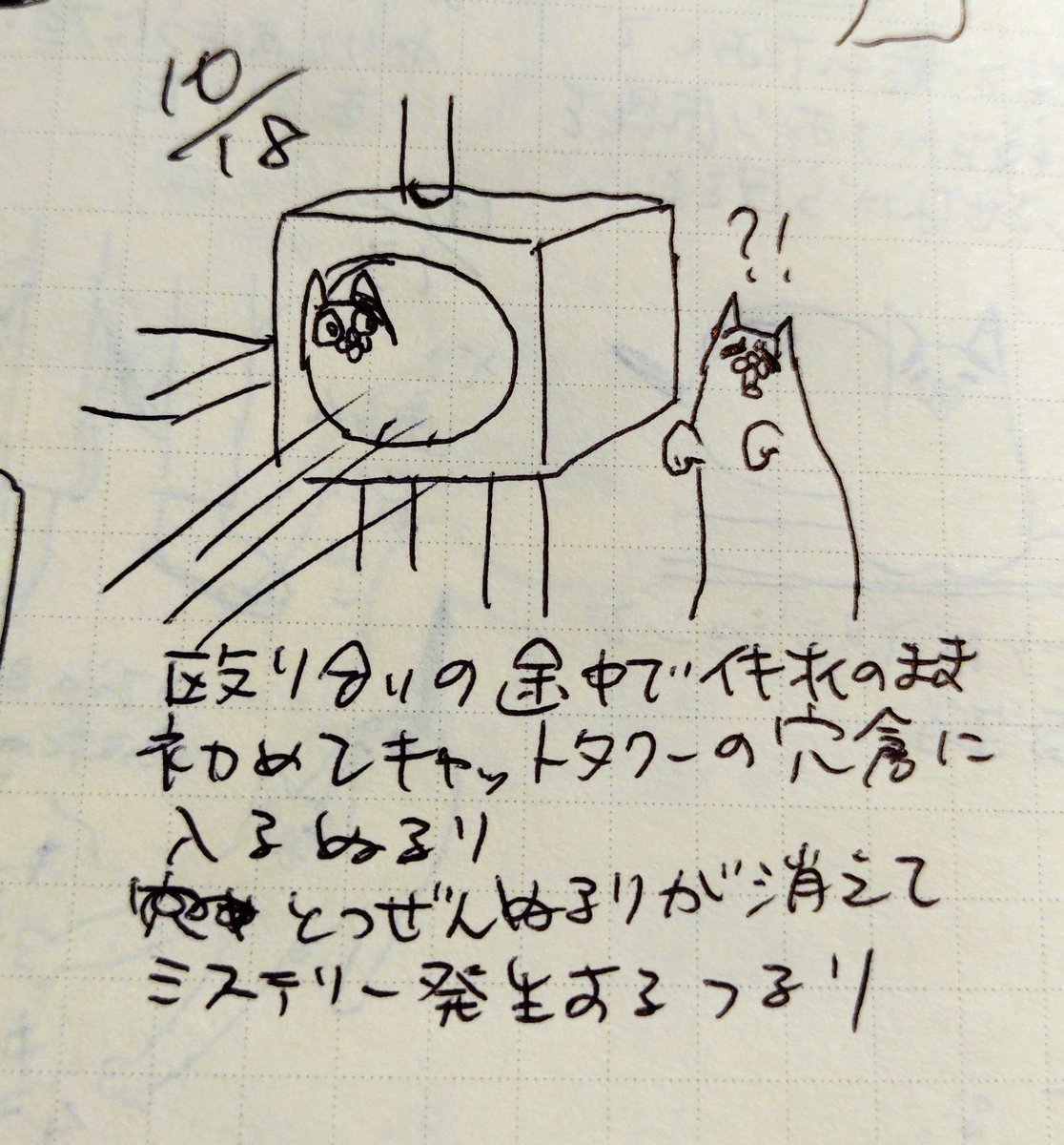 onyanturunuru tweet picture