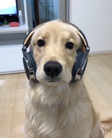 puppojoo's tweet photo. https://t.co/Ik9EVqL5dF