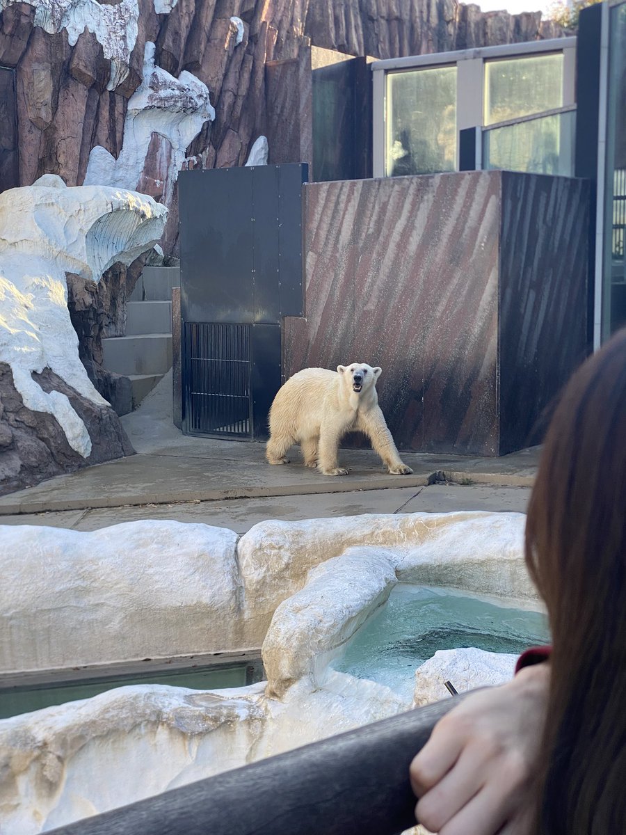 tkm_mkt21's tweet photo. 10何年ぶりに行った上野動物園面白すぎた https://t.co/3btfk77fK0