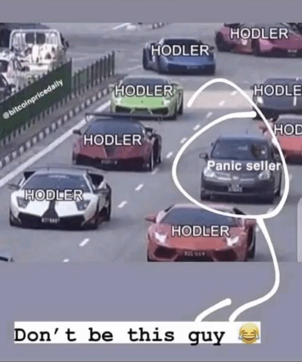 WhiskerIndex's tweet photo. HODLER vs Panic Seller https://t.co/E6XEWQnqi0