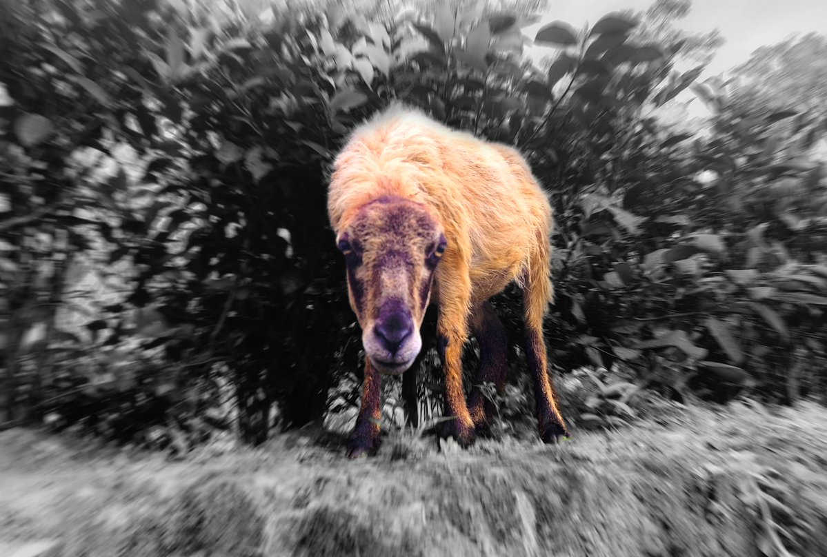red_knighttt's tweet photo. met a model. https://t.co/u38IStVKrS