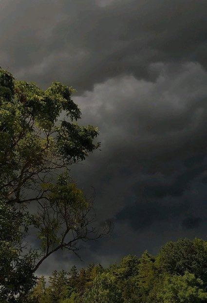 spooky_nature's tweet photo. this is what i mean by perfect weather btw https://t.co/bLwdSl2Cgi