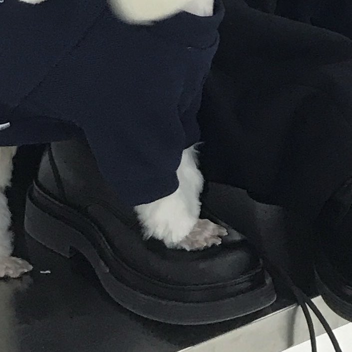 myomxxw's tweet photo. 아빠발 밟기 https://t.co/wH18YeUY0a