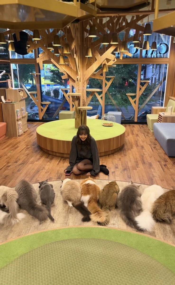 lalisamgger's tweet photo. In her mind, she was in heaven 🐈 https://t.co/uGeNbfYLzp