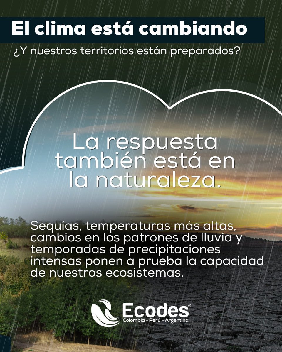 ecodesing's tweet photo. El clima cambia. Nuestros territorios necesitan adaptarse.

La restauración ecológica y la compensación ambiental, bien planificadas, pueden aportar a territorios más resilientes frente a eventos climáticos.

En ECODES Ingeniería diseñamos soluciones para cada territorio. https://t.co/TvpHfirVF3