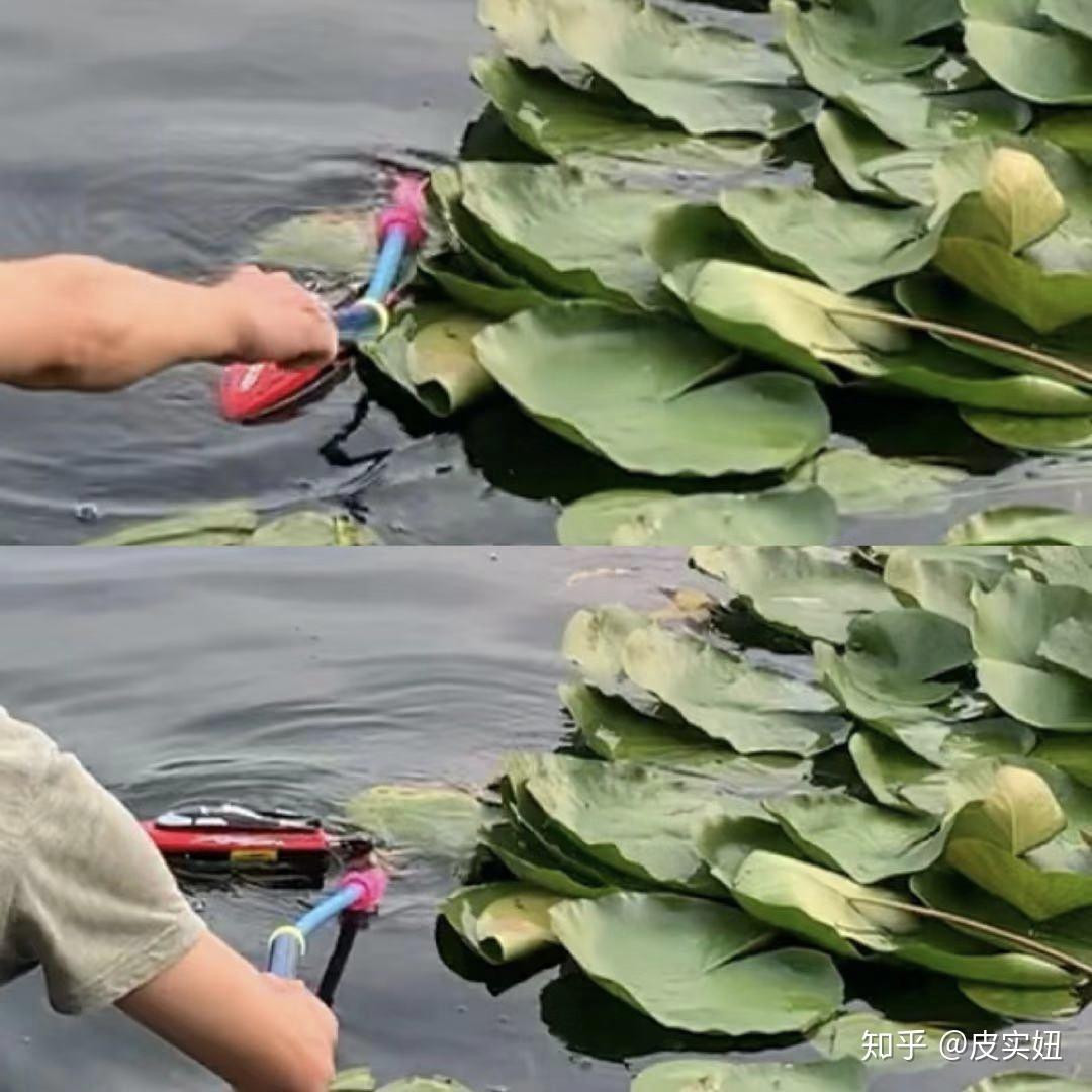 zaedzdrx's tweet photo. We found a super fun game: knock the hammer to scare the lotus leaf fish! It’s so relaxing and interesting! https://t.co/mjod6zSc4W