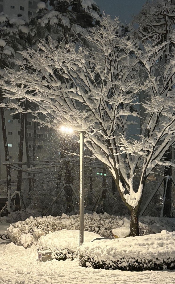 youiung's tweet photo. 전 겨울을 참 조아합니다
사유: 빨간 목도리 개좋아함
첫번째 사진 저가 찍은건데 개 잘찍엇죠 https://t.co/CzAG6USnXf