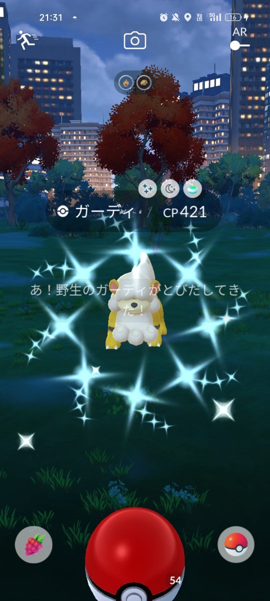 asterisk661's tweet photo. 本日(2026/10/18(日))
18:10〜21:50
ポケモンGOでッ!?
歩行42kmを達成するため外出ッ!!

アイテム「おこう」を使用したら……。
に……2時間ッww

お陰でッ!?
色違いのバーゲンセールだった♪
※カイリューはメガレイドッ♪

#ポケモンGO
#色違い
#Scopely https://t.co/ZyFDLuYlFR