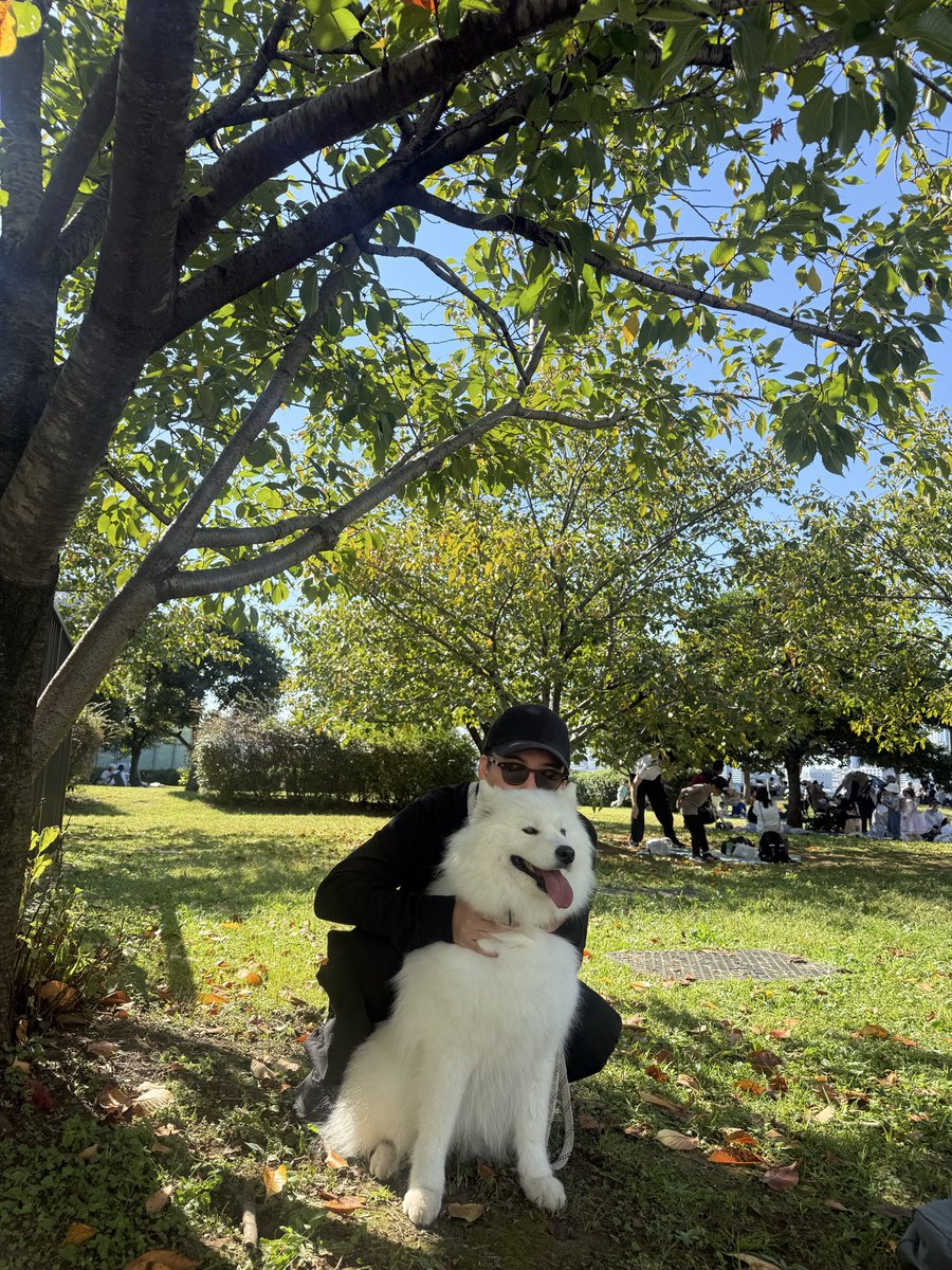 amuvdk1006's tweet photo. 遠出散歩🐾 https://t.co/muGBpbFCiP