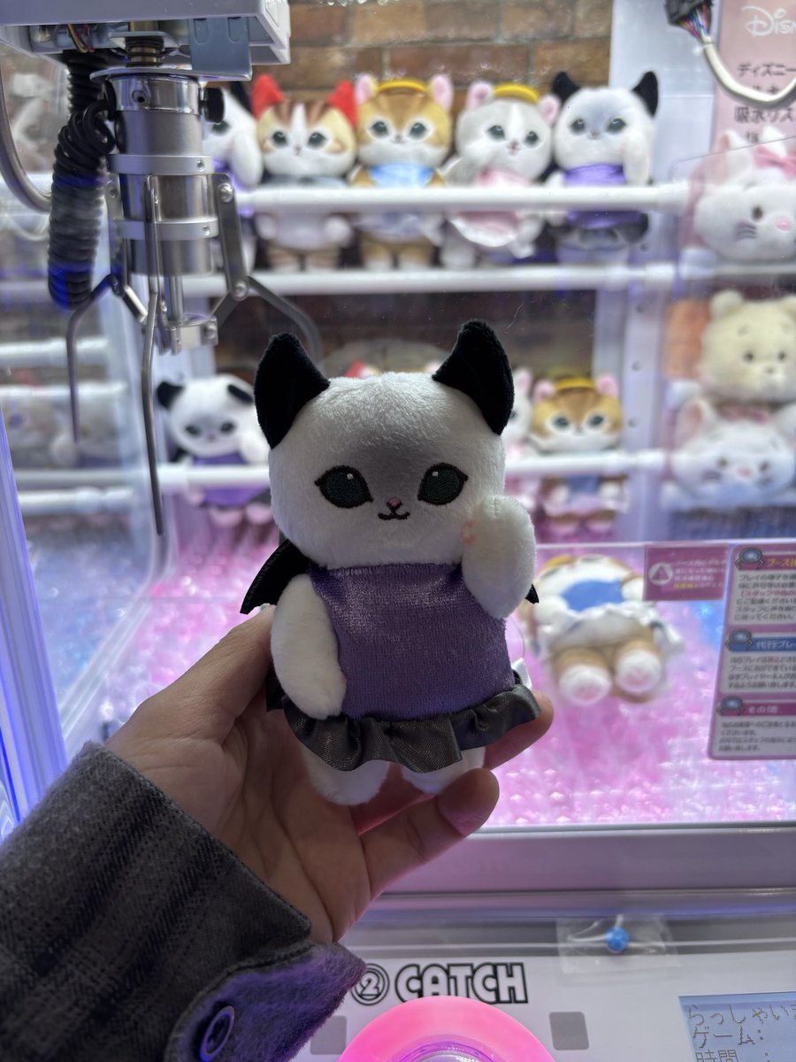 rangu_do_sha's tweet photo. 今日のモフ活😸給食当番がんばるにゃんのガチャあったよ！あと黒ツノ悪魔にゃんが好きすぎてもう一つゲットしてきました👿ハロウィンな雰囲気可愛いよね🖤

#mofusand https://t.co/ARyVWrG3do