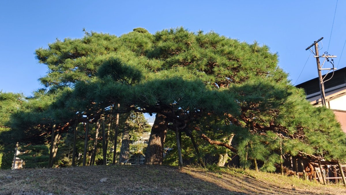0109kouhei's tweet photo. 昨日の
スマホにて https://t.co/gHmZOo7qIN