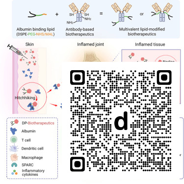 CellRepMed's tweet photo. Online now: Lipid-engineered antibody-based therapeutics target inflamed joints and lymph nodes to enhance rheumatoid arthritis treatment dlvr.​it/TVybgz https://t.co/hMxDXzOQaC