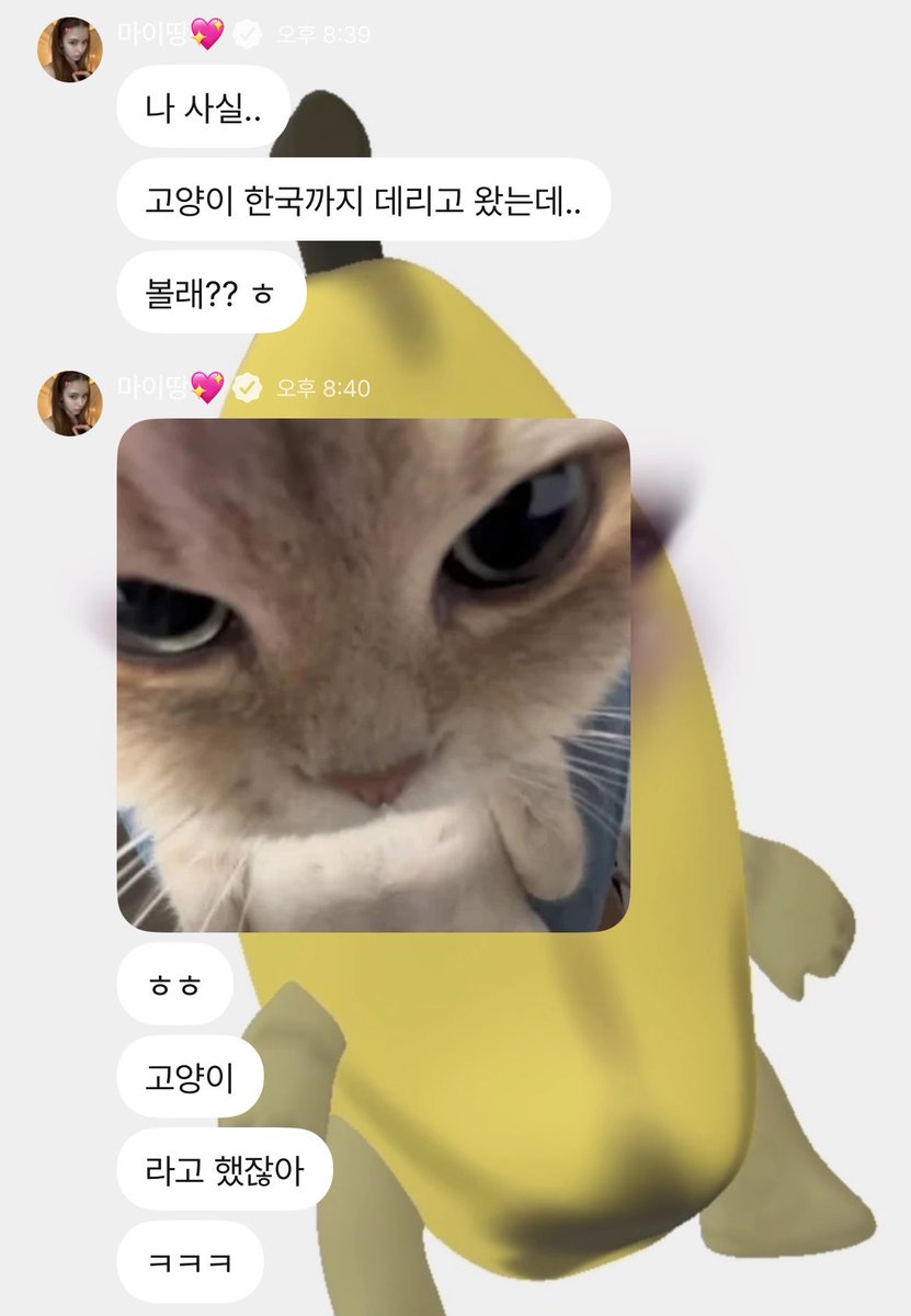maiicookiie's tweet photo. 마냥이 존귀라서 웃음남 ㅜㅜ https://t.co/kmNOGsdpRH